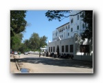 Zansi (82)